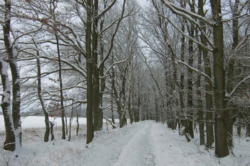 Winterlandschaft