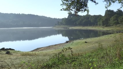 LANDSCAPE OF A LAKE IN THE MORNING