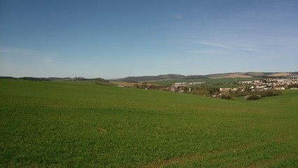 Fototapeta premium Meadow durring summer morning in West Slovakia