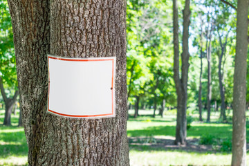 Empty white plate on tree in green park background. Square signboard, tablet, mockup on tree trunk in park. Warning white and red sign on the tree for text or design