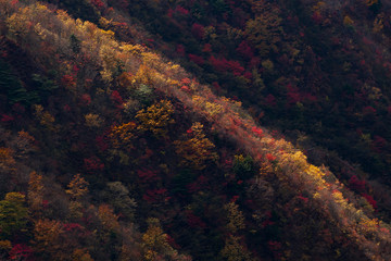 日光半月峠の秋