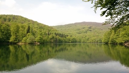 Fototapeta na wymiar Little lake in the forest in East Slovakia