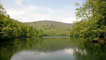 Fototapeta na wymiar Little lake in the forest in East Slovakia