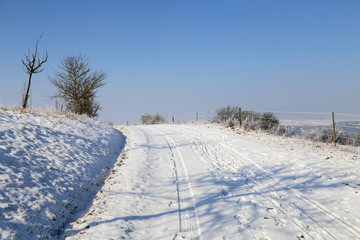 Fototapeta na wymiar Winter landscape. Winter road among the trees.