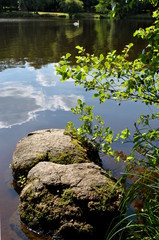 Etang de Saint Estephe 4