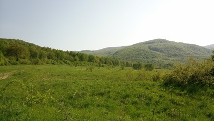 Fototapeta na wymiar Meadow and forest in East Slovakia