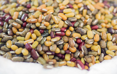 Many legumes (soybean, red, green)