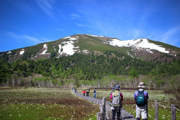 尾瀬、至仏山、木道