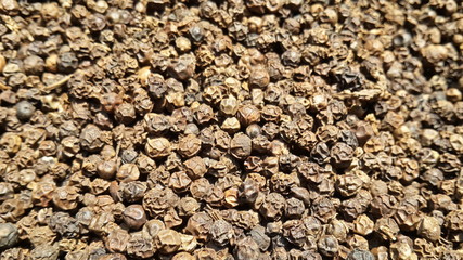 Black peppercorn  