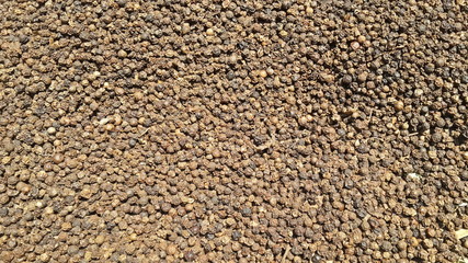 Black peppercorn  