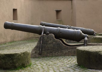 Kanonen - Wasserburg Gemen - Münsterland