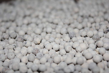 white peppercorn  