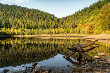 Sankenbachsee im Herbst