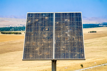 Old solar cells in nature