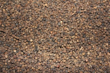 Black peppercorn