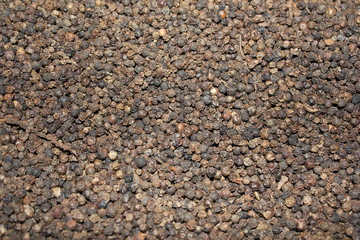 Black peppercorn