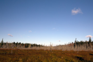Acadia National Park, ME, USA. 