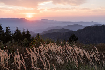 Sonnenuntergang Schwarzwald