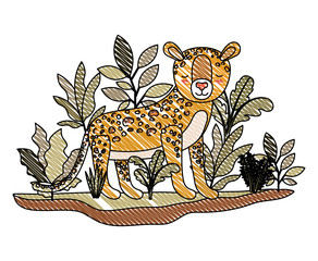 wild cheetah in the jungle scene