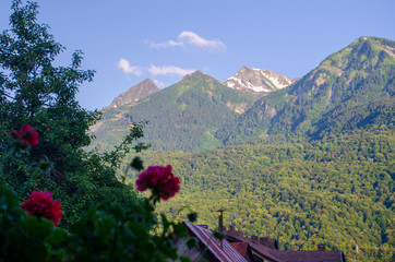 Morning in the mountains
