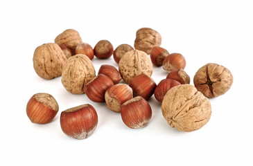 walnuts and hazelnuts isolated on white background