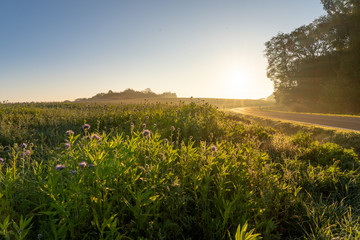 Obraz premium Herbstlicher Sonnenaufgang in der Eifel