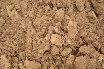Fragment of the broken ground on the autumnal agricultural field