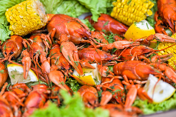  corn crabs