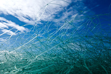 pêche filet poisson pêcher port marin pêcheur prise attraper nylon bretagne crustacé maille