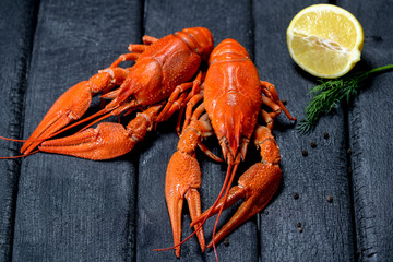 tasty boiled crayfish on a charred wooden background black