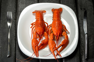  tasty boiled crayfish on a plate