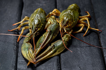  live crayfish on a black charred background