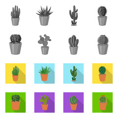Isolated object of cactus and pot sign. Set of cactus and cacti vector icon for stock.