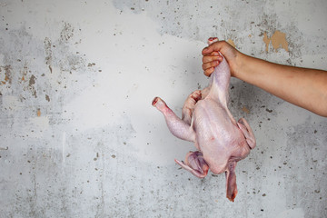Raw chicken in female hand