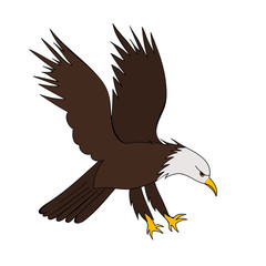 vector, eagle character