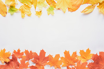 Naklejka na ściany i meble top view of yellow and orange maple leaves isolated on white, autumn background