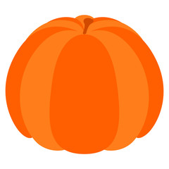 Isolated thanksgiving pumpkin image. Vector illustration design