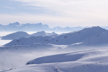Fototapeta premium snowy misty heaven