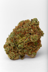 Close up of yumbolt strain hybrid indica dominant medical marijuana and recreational marijuana flower bud isolated in white background