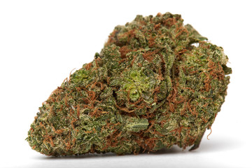 Close up of yumbolt strain hybrid indica dominant medical marijuana and recreational marijuana flower bud isolated in white background