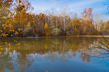 Beautiful autumn landscape - trees reflected in the water of a forest lake