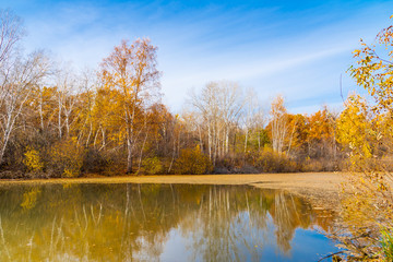 Beautiful autumn landscape - trees reflected in the water of a forest lake