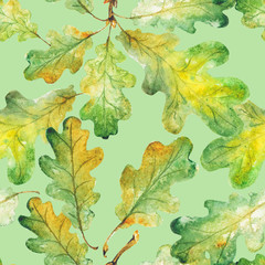 Bright green watercolor autumn oak leaves. pattern. Watercolor
- 229782794
