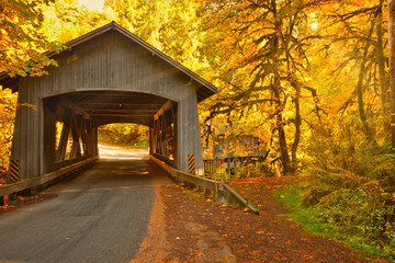Covered bridge with fall colors all around