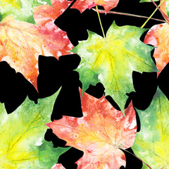 Bright orange watercolor autumn maple leaves. pattern. Watercolor
- 229783352