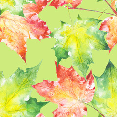 Bright orange watercolor autumn maple leaves. pattern. Watercolor
- 229783500