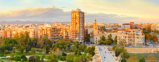 Tuinposter Valencia city panorama, Spain © joyt