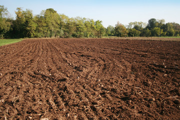 Plowed field in the countryside. Agricultural landscape in autumn
