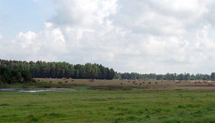 Fototapeta premium haystacks in a field