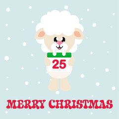 cartoon cute sheep white with christmas calendar and christmas text